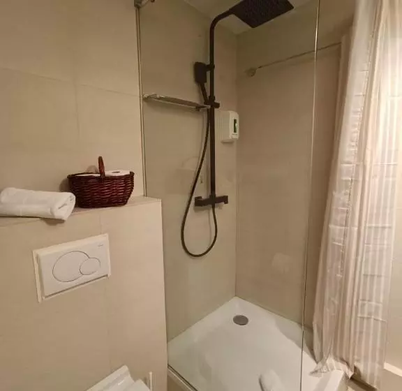 Fotos del hotel Petit Hotel De Riu:  12