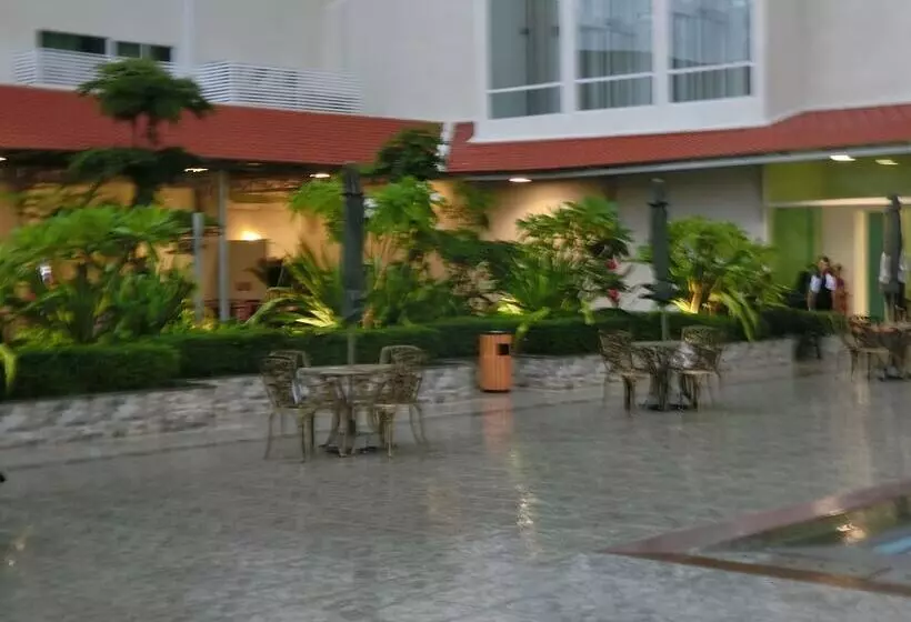 Fotos del hotel Dyvith:  7