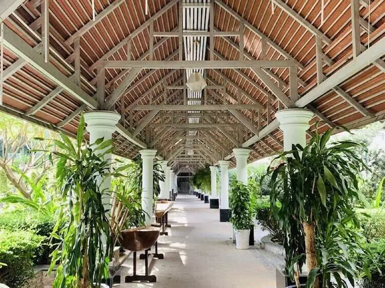Fotos del hotel Dyvith:  3