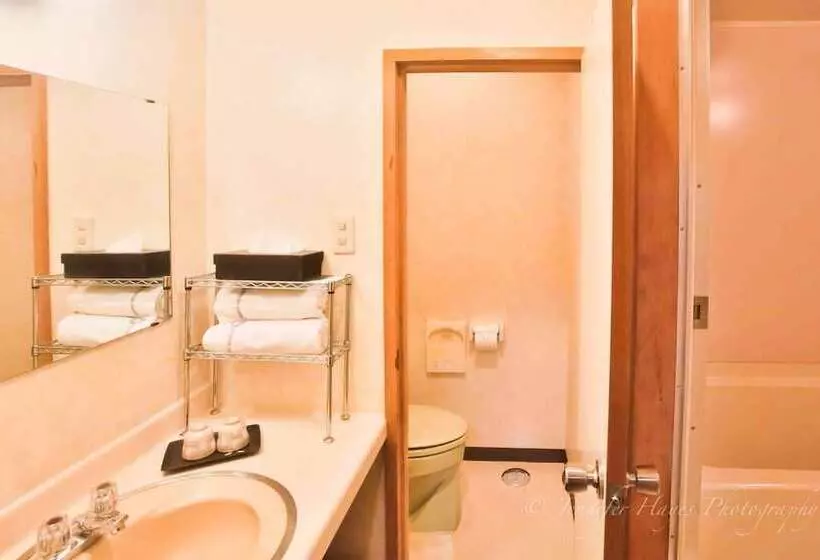 Fotos del hotel Morino Lodge  Hakuba:  4