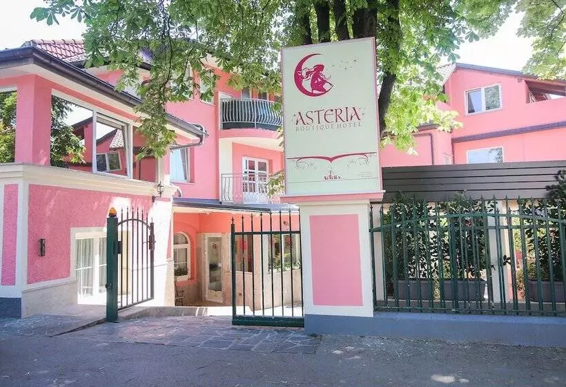 Fotos del hotel Boutique  Asteria:  5
