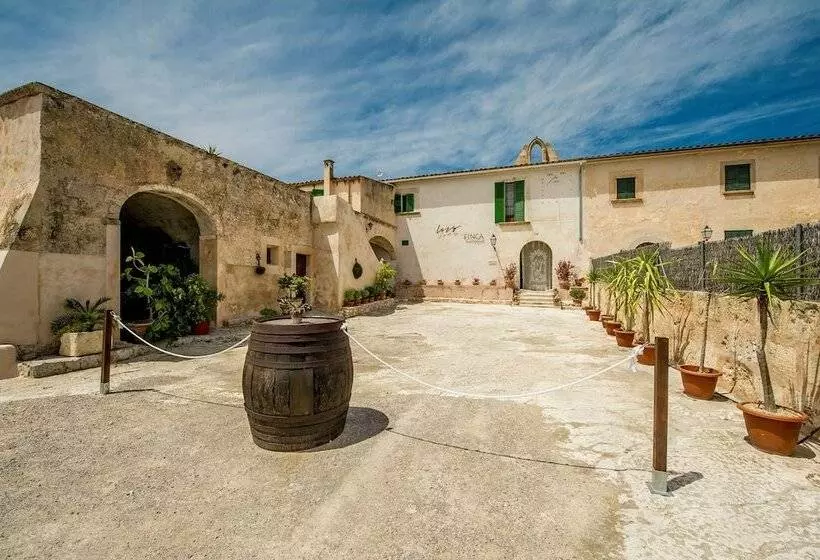 Fotos del hotel Finca Son Valls:  25