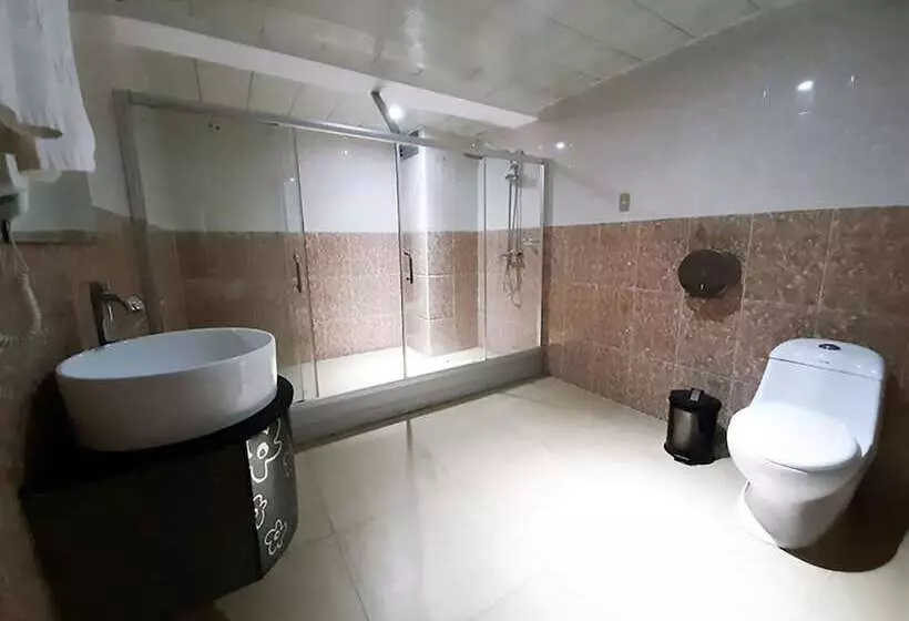 Fotos del hotel Swan:  13