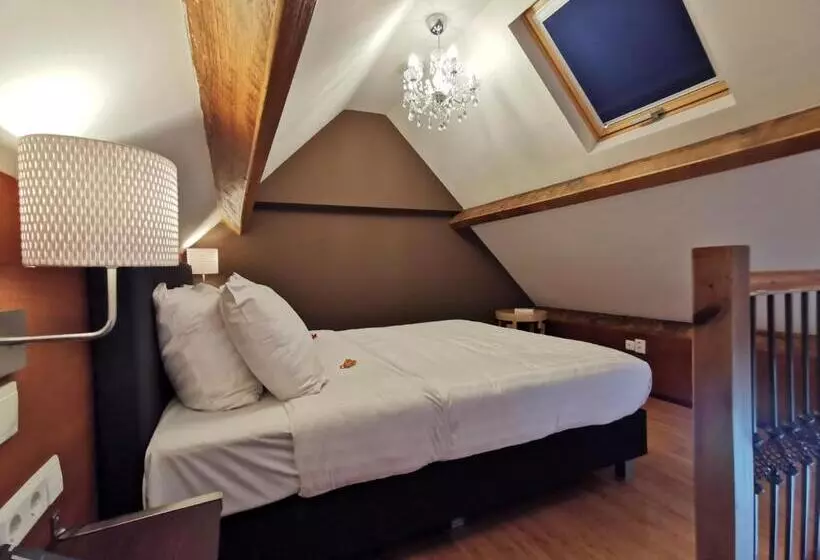 Fotos del hotel Chasse:  14