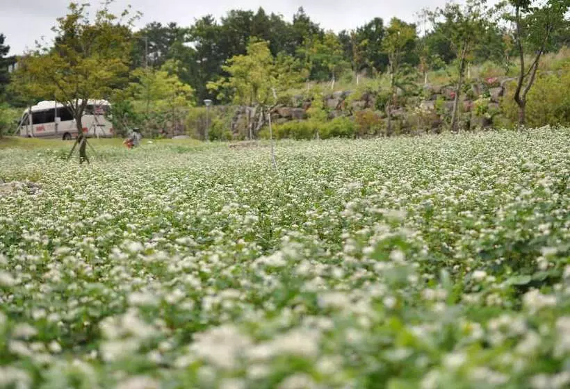 Fotos del hotel Nanta Jeju:  8