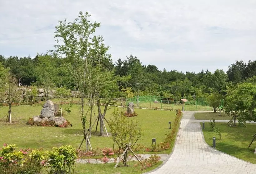 Fotos del hotel Nanta Jeju:  24