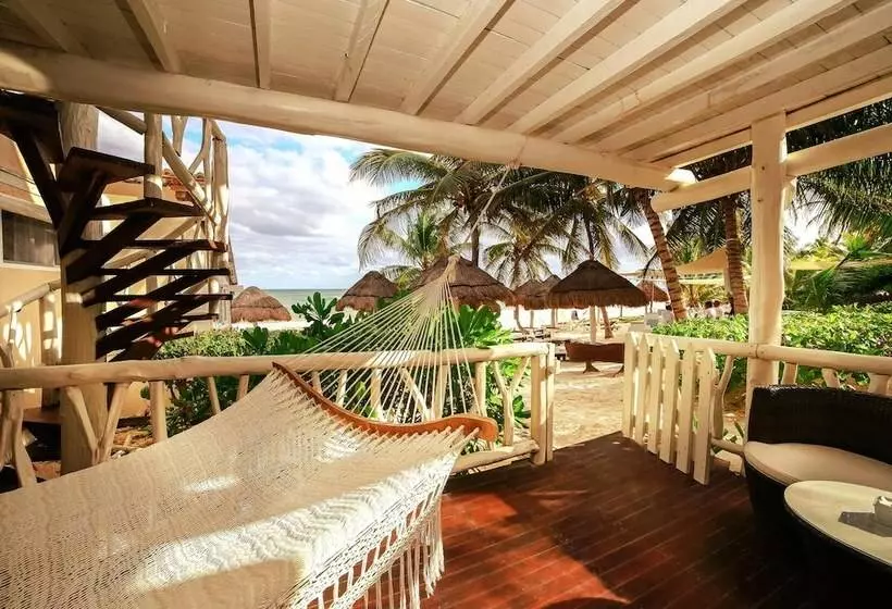 Fotos del hotel Villa Las Estrellas Tulum  Located At The Party Zone:  5