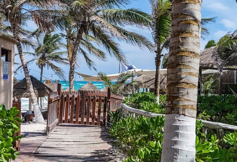 Fotos del hotel Villa Las Estrellas Tulum  Located At The Party Zone:  15
