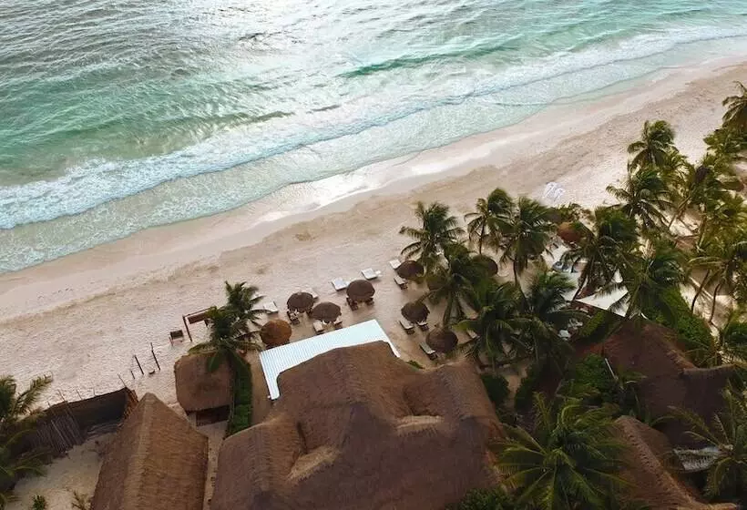 Fotos del hotel Villa Las Estrellas Tulum  Located At The Party Zone:  10