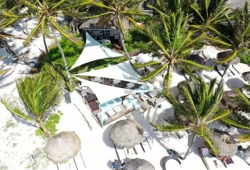Villa Las Estrellas Tulum  Located At The Party Zone