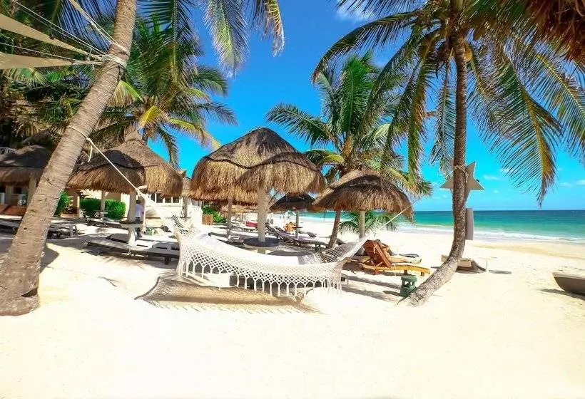Fotos del hotel Villa Las Estrellas Tulum  Located At The Party Zone:  13