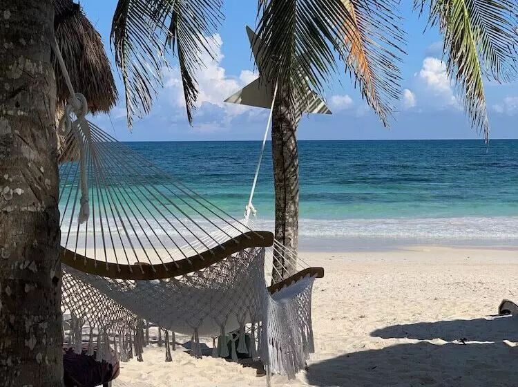Fotos del hotel Villa Las Estrellas Tulum  Located At The Party Zone:  6