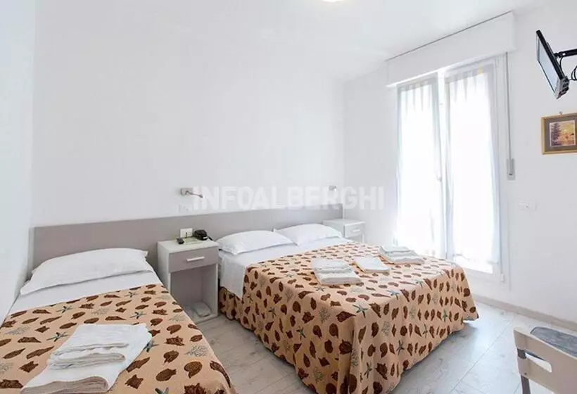 Fotos del hotel Sasselli:  18