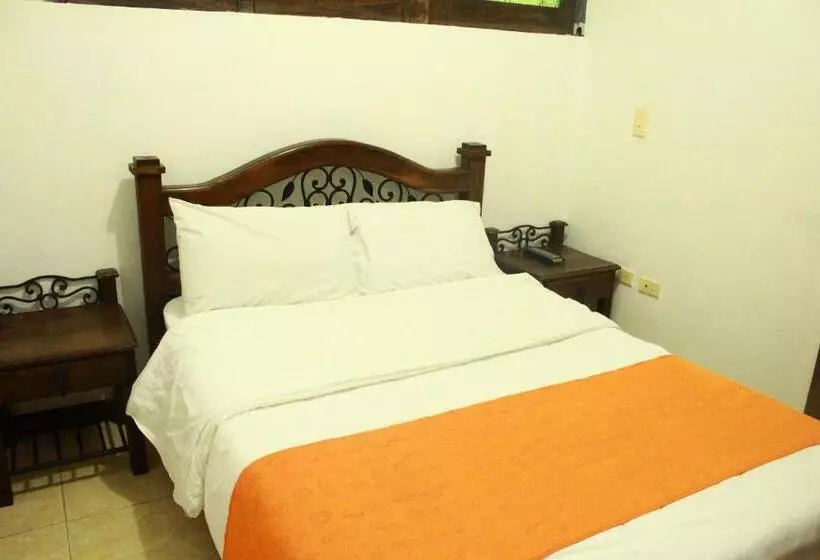 Fotos del hotel Colonial Manizales:  17