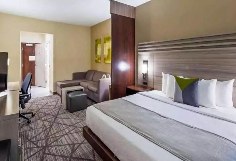 Fotos del hotel Best Western Plus Houston I45 North Inn & Suites:  11