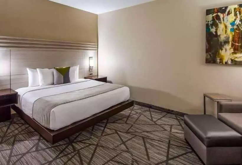 Fotos del hotel Best Western Plus Houston I45 North Inn & Suites:  22