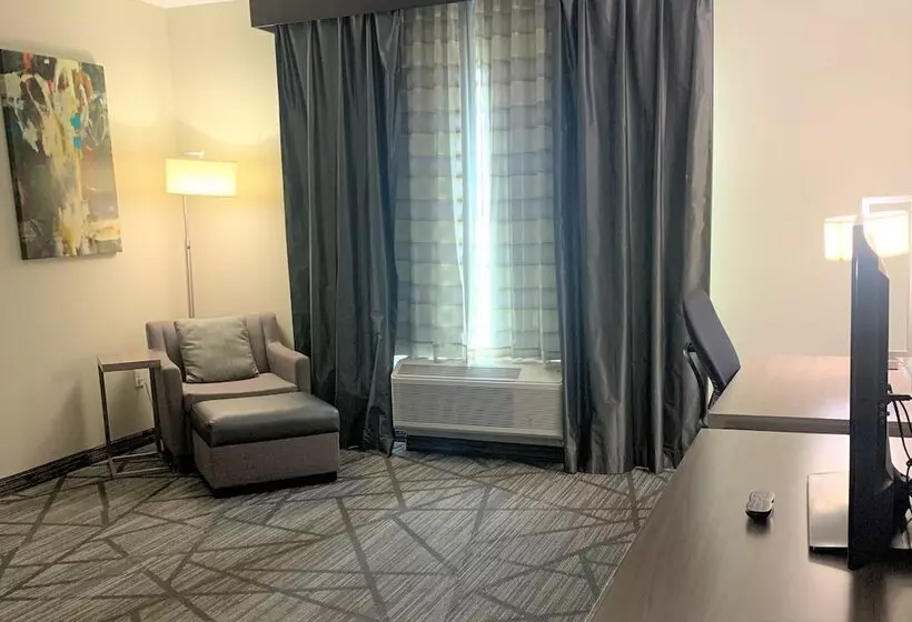 Fotos del hotel Best Western Plus Houston I45 North Inn & Suites:  26