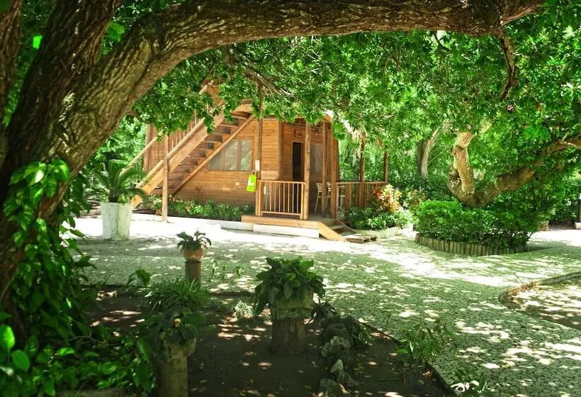 Fotos del hotel Isla Del Encanto:  15