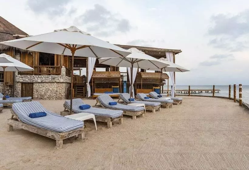 Fotos del hotel Isla Del Encanto:  13