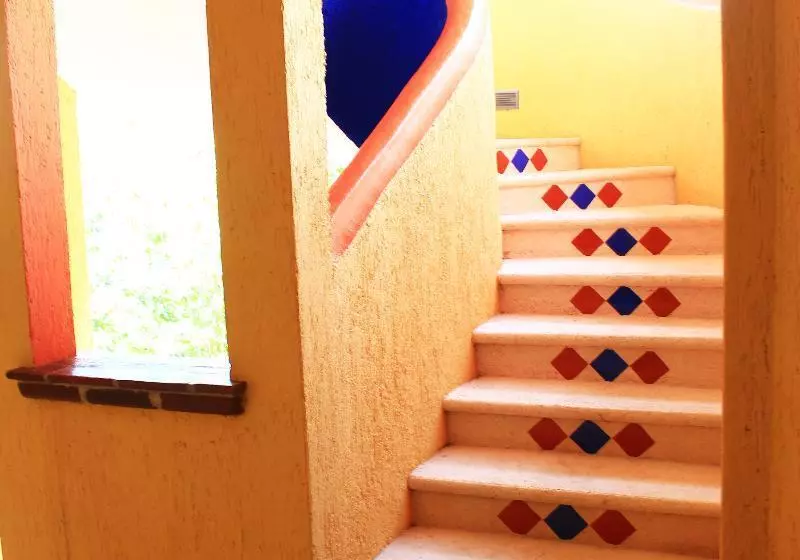 Fotos del hotel Vida Playa Suites:  9