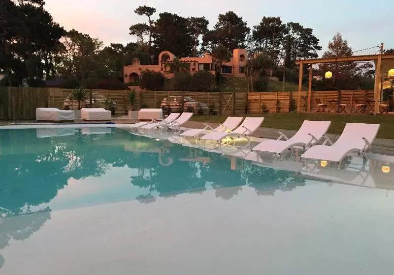 Fotos del hotel Live Hotel Boutique (adults Only):  5