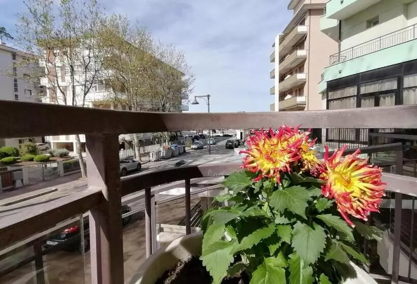 Fotos del hotel Abel:  12