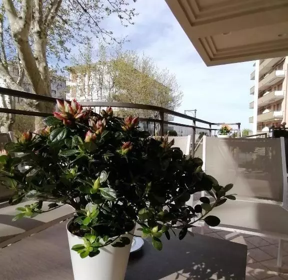 Fotos del hotel Abel:  3