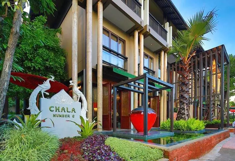Fotos del hotel Chala Number 6:  2