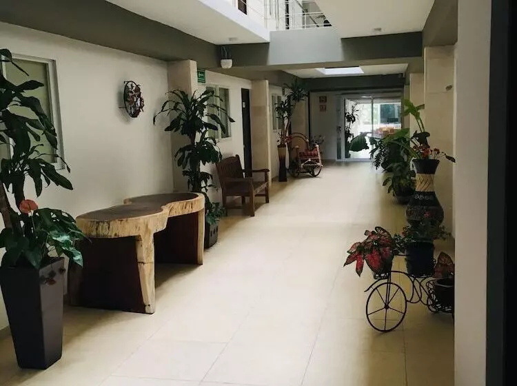 Fotos del hotel Boutique Boca - Veracruz:  6