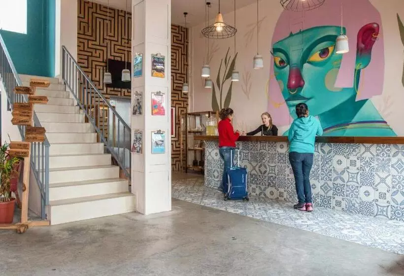 Fotos del hotel Selina Baños:  3