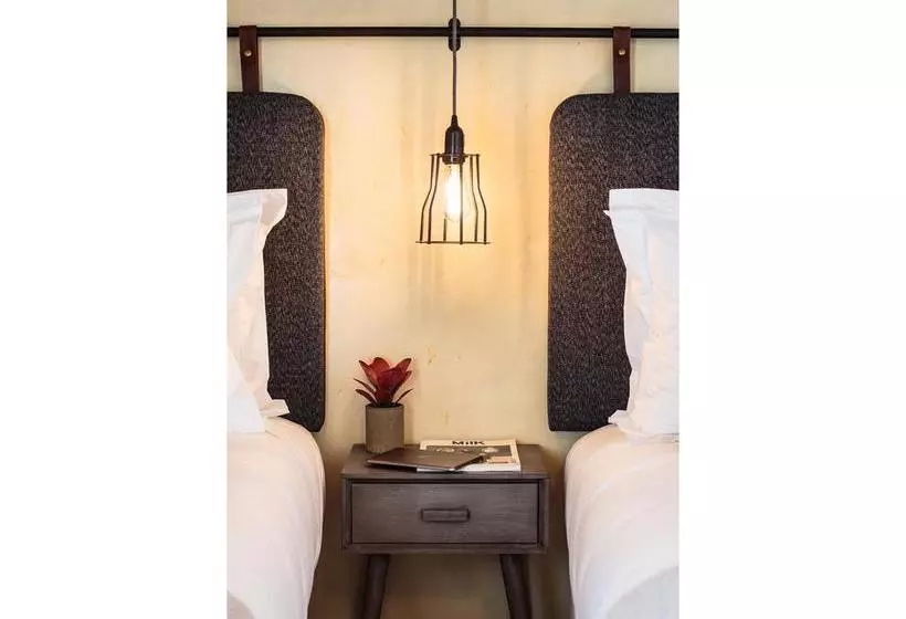 Fotos del hotel Dear Lisbon - Living House:  10