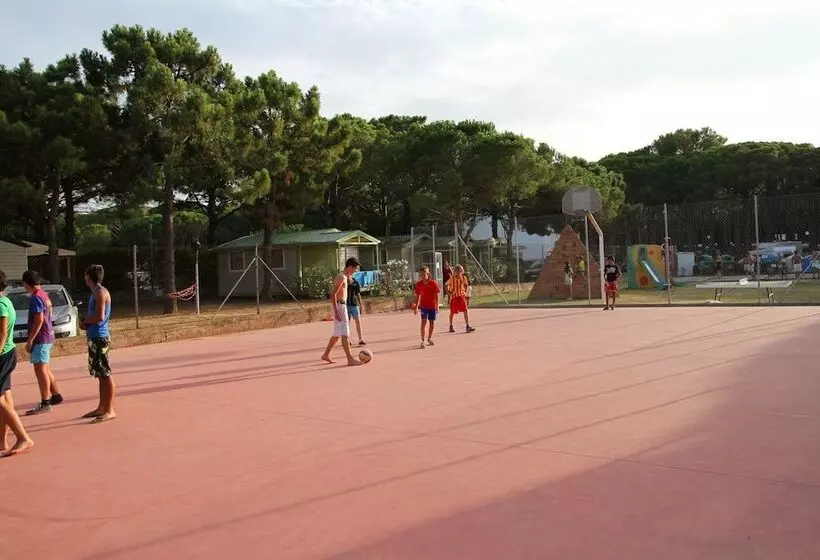 Fotos del hotel Camping Neptuno:  3