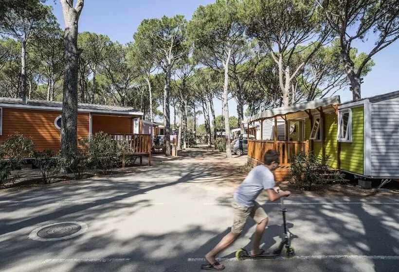 Fotos del hotel Camping Neptuno:  20