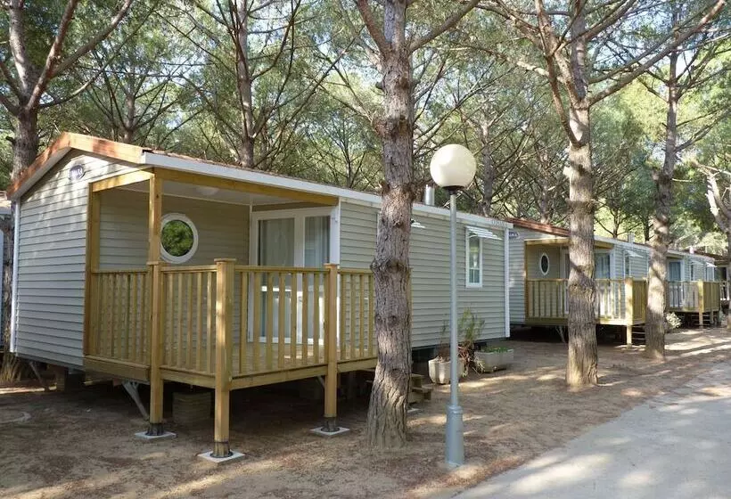 Fotos del hotel Camping Neptuno:  18