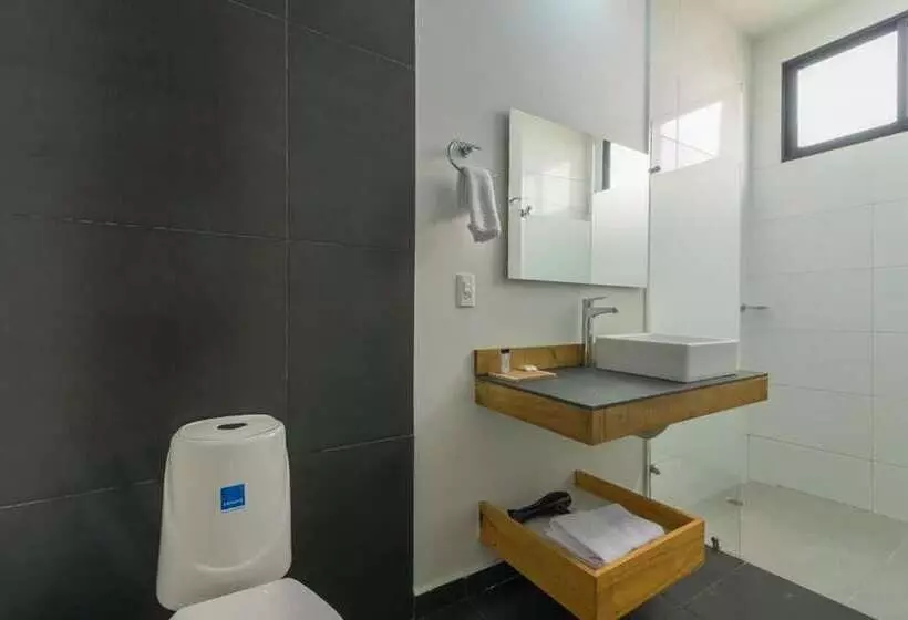 Fotos del hotel Cartagena Dc:  13
