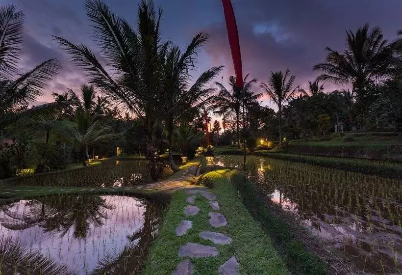 Fotos del hotel Prana Dewi Mountain Resort:  11