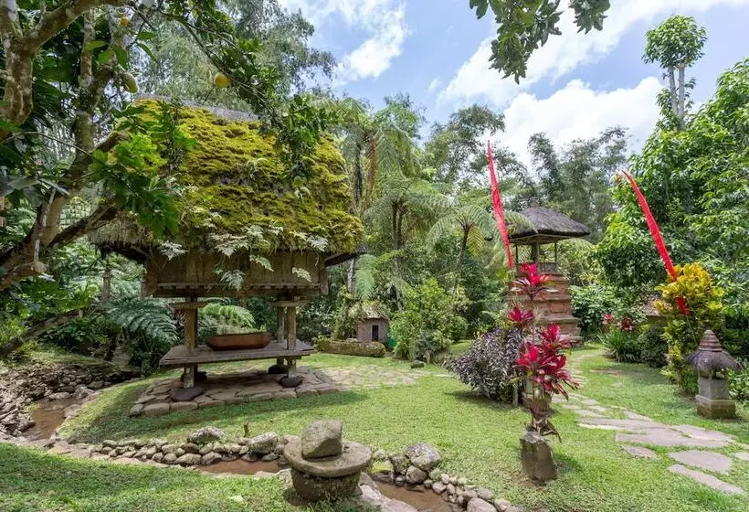 Fotos del hotel Prana Dewi Mountain Resort:  13
