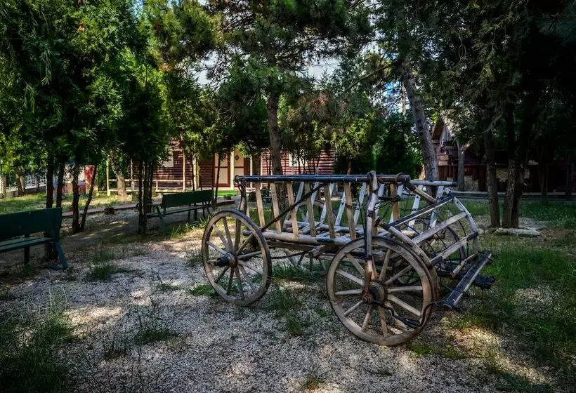 Fotos del hotel Majestic Olimp:  10