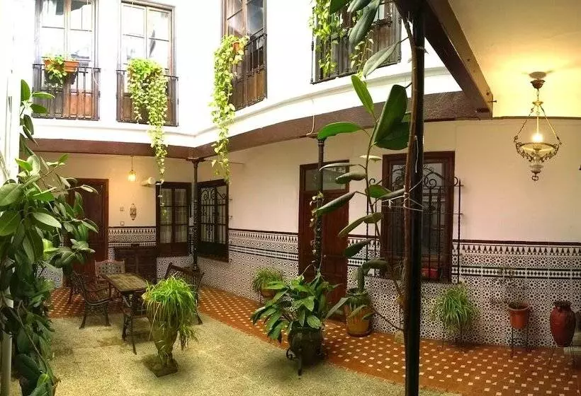 Fotos del hotel Casa Patio De La Vega:  7