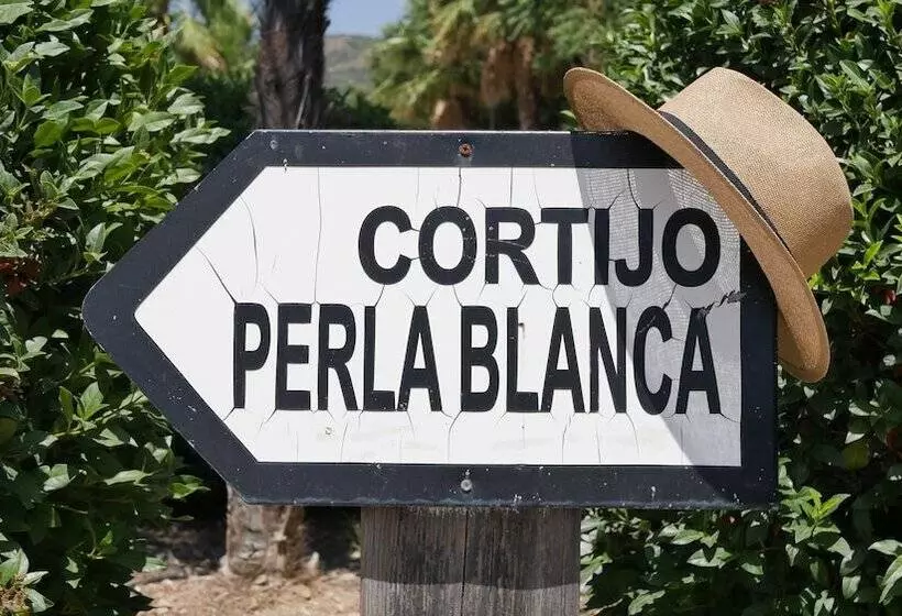 Fotos del hotel La Perla Blanca  Ronda:  7