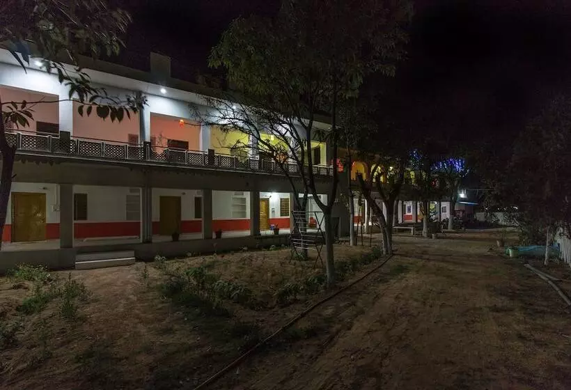Backpacker Panda  Chand Palace