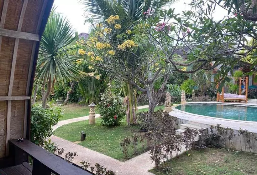 Fotos del hotel Paradesa Villa:  11
