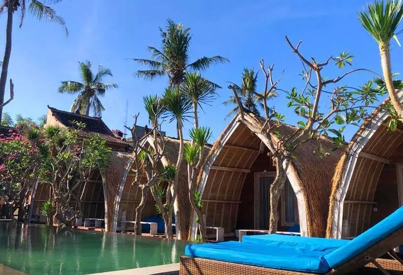Fotos del hotel Paradesa Villa:  2