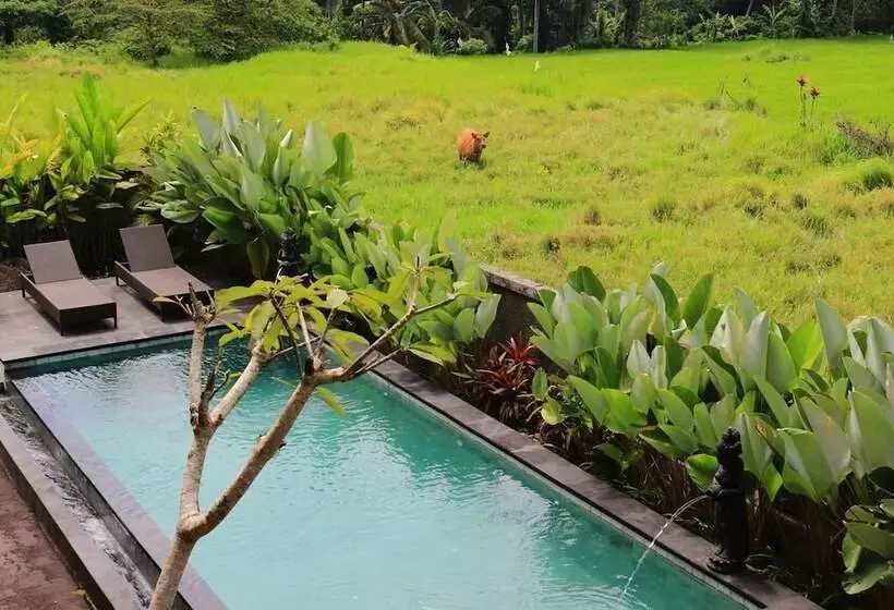 Fotos del hotel Uma Kutuh 2:  7
