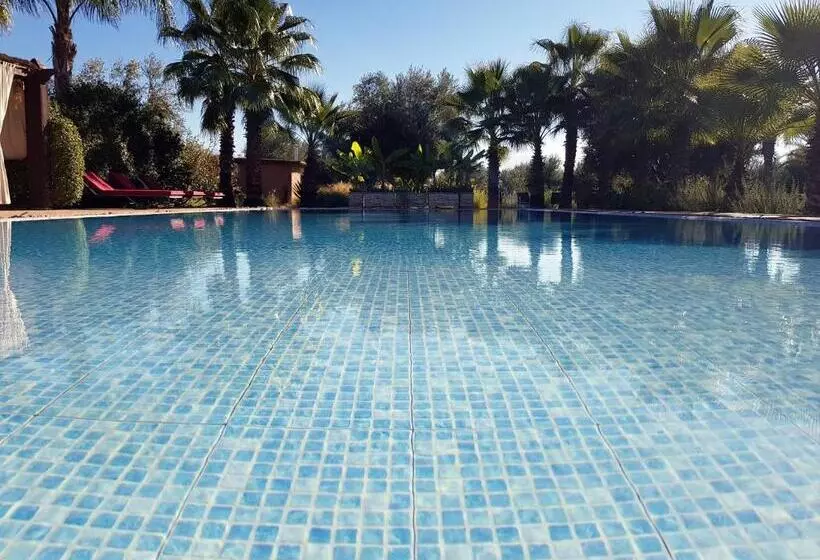 Fotos del hotel Ksar Salha:  3