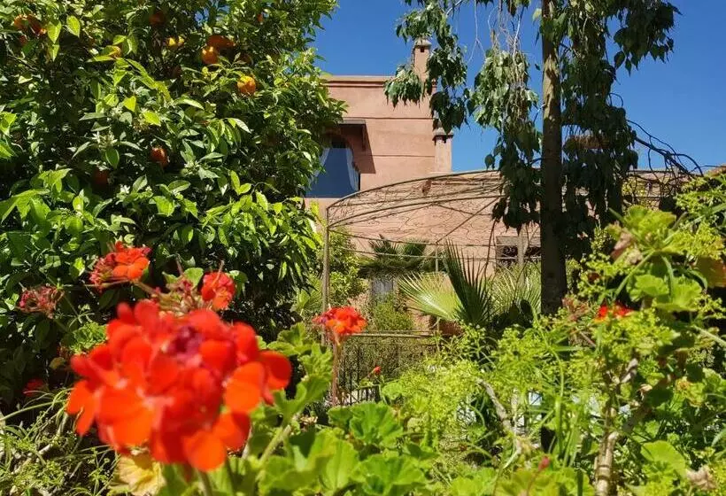 Fotos del hotel Ksar Salha:  9
