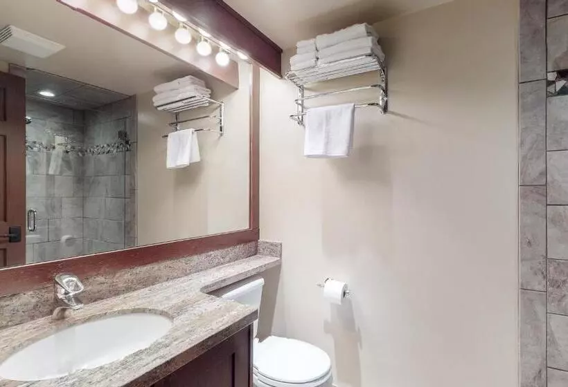 Fotos del hotel Greystone Lodge:  5