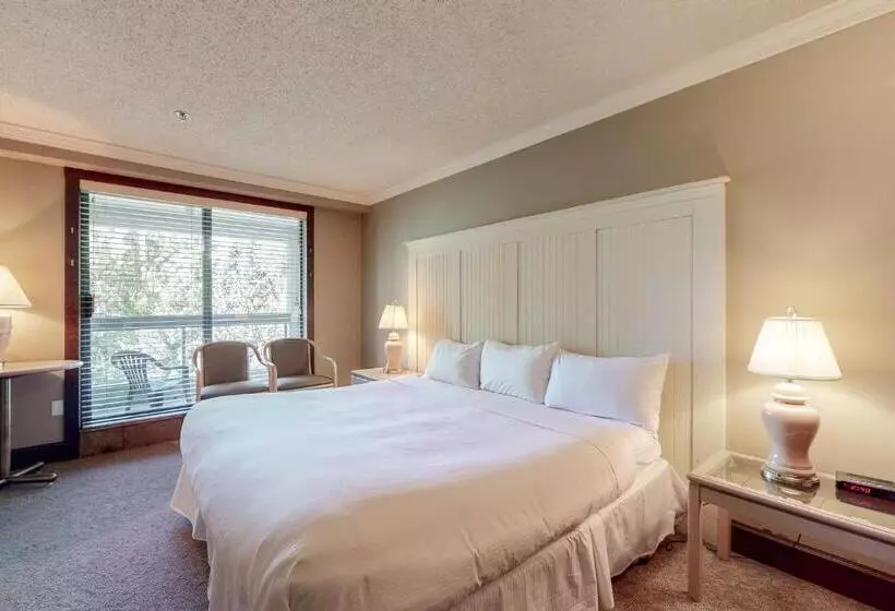 Fotos del hotel Greystone Lodge:  17