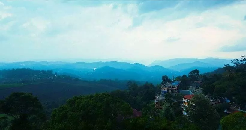 Fotos del hotel Forest Glade:  2