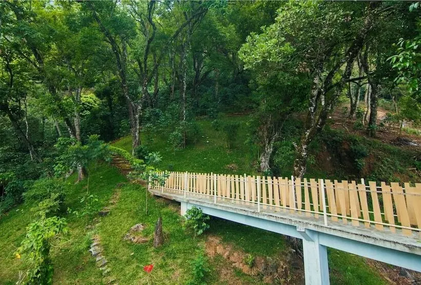 Fotos del hotel Forest Glade:  7